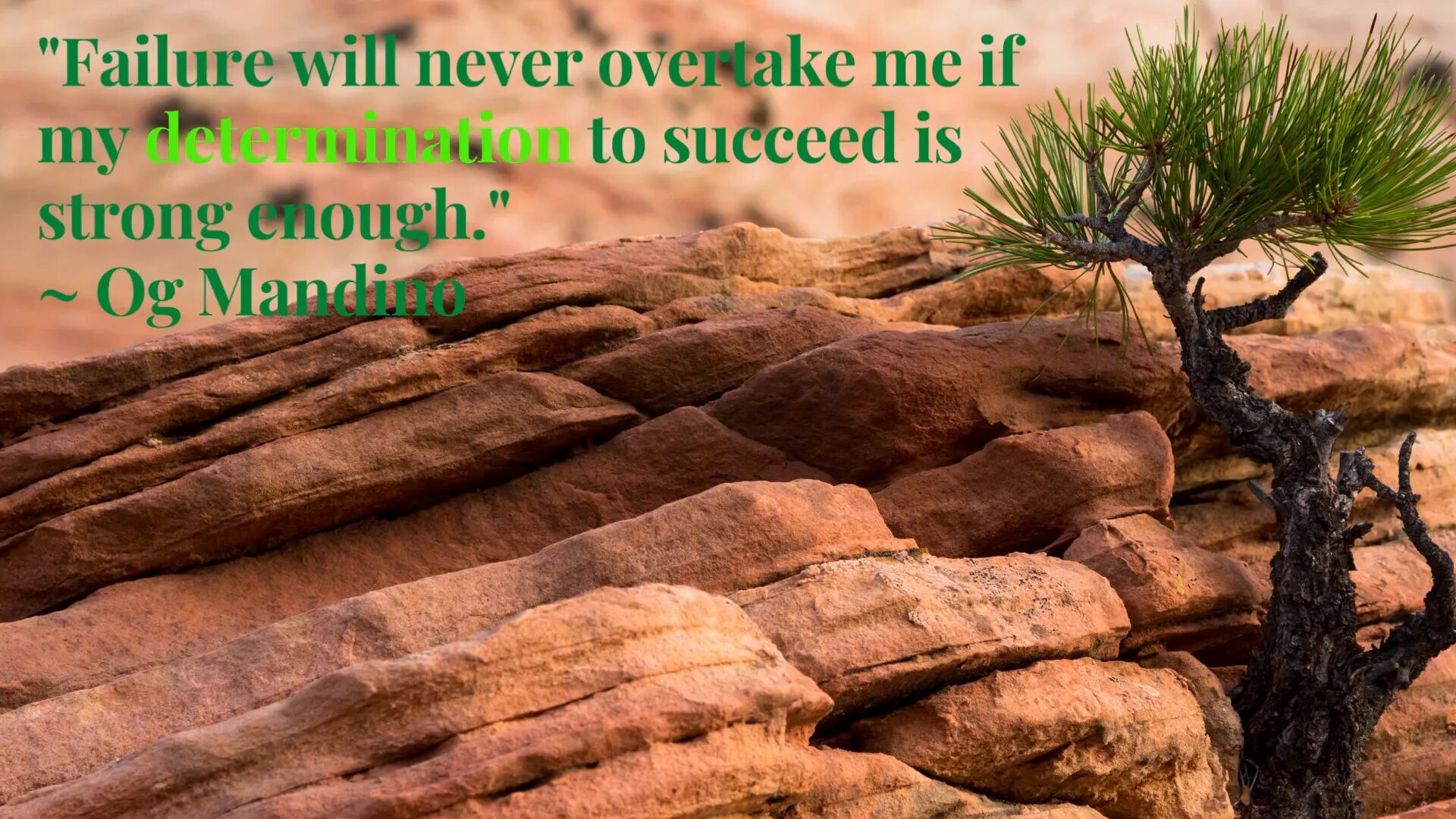 Overcoming failure quote