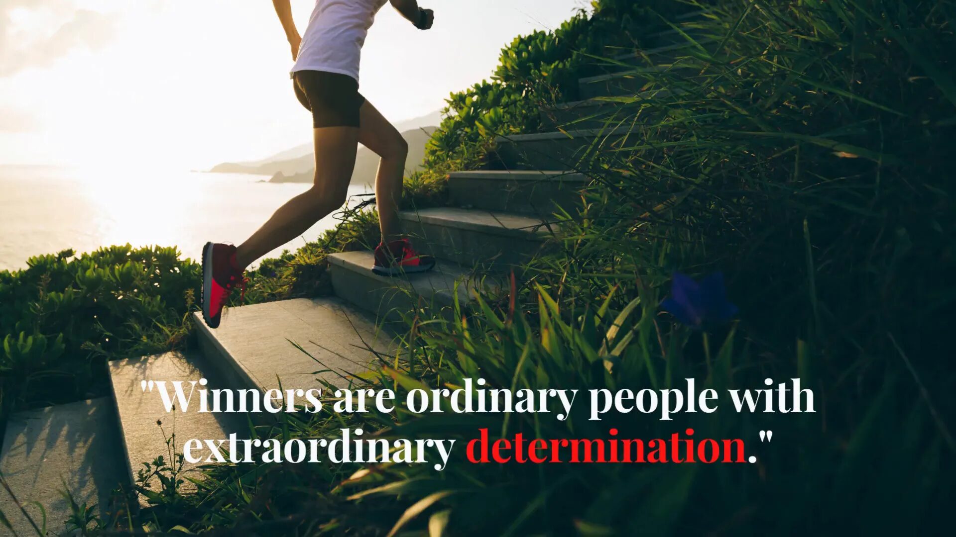 Extraordinary determination quote