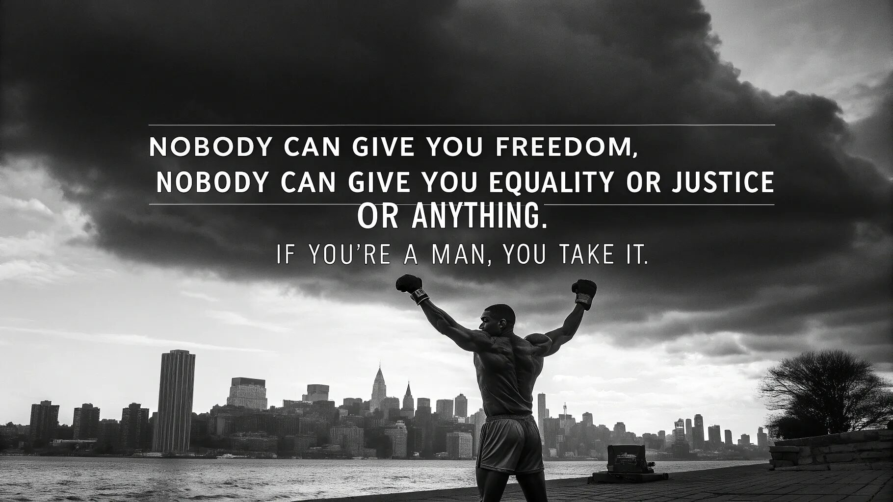 "Nobody can give you Freedom, nobody can give you equality or Justice or anything. If you're a man, you take it."